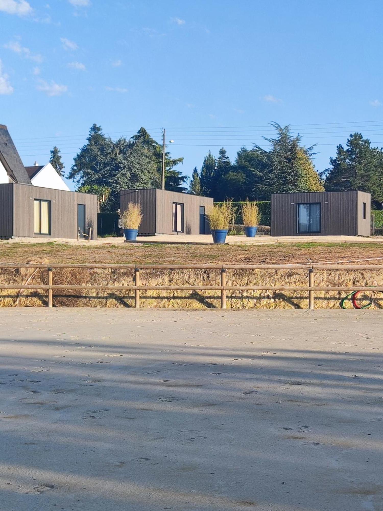 Domaine Du Moulin Neuf Aux Portes De Beauval Nouans-les-Fontaines Luaran gambar