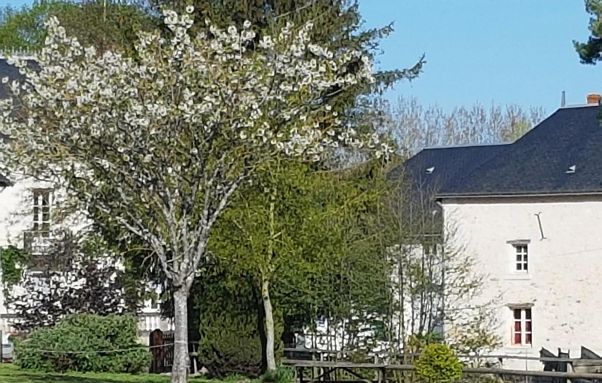 Domaine Du Moulin Neuf Aux Portes De Beauval Nouans-les-Fontaines Luaran gambar