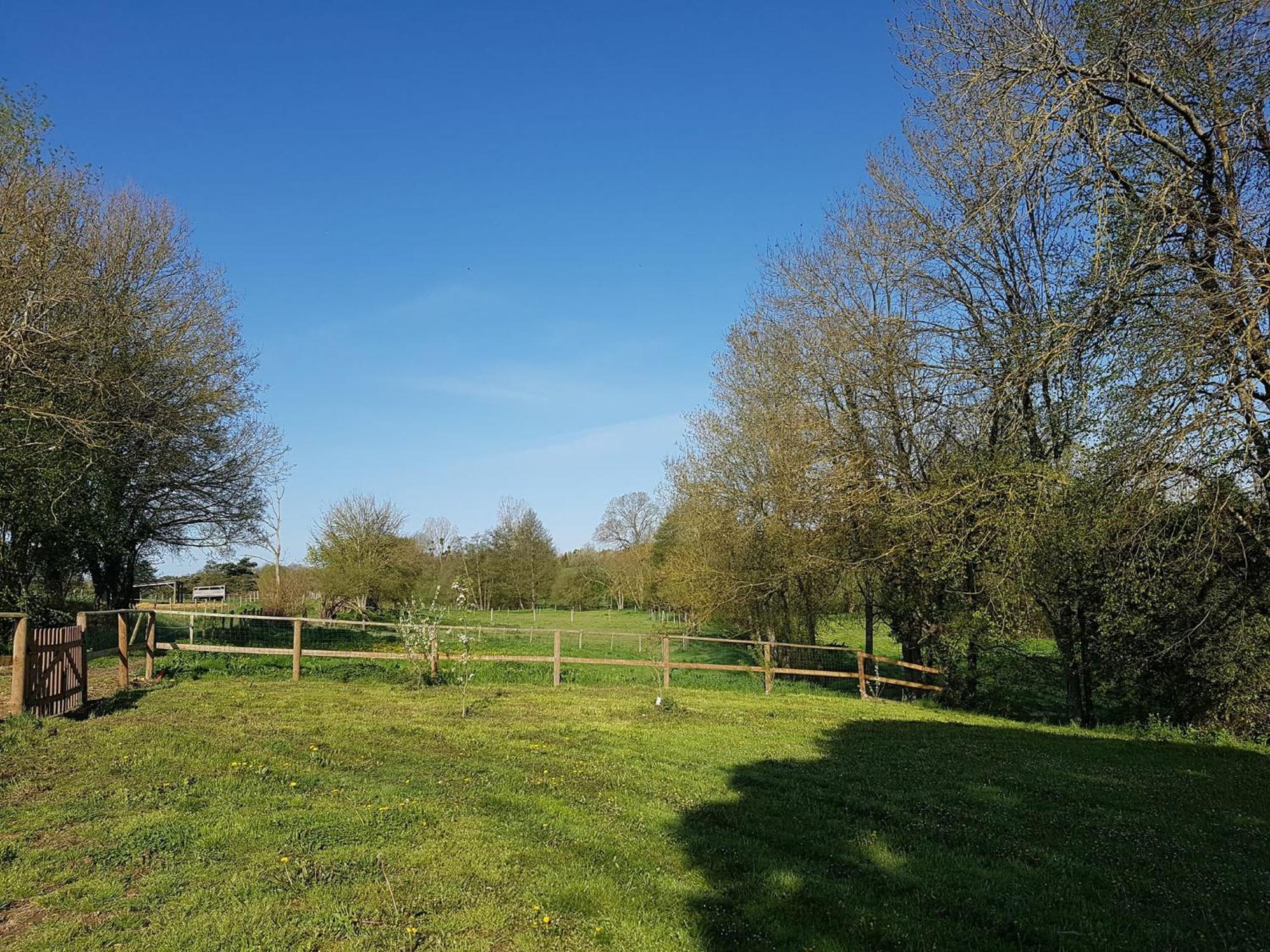 Domaine Du Moulin Neuf Aux Portes De Beauval Nouans-les-Fontaines Luaran gambar