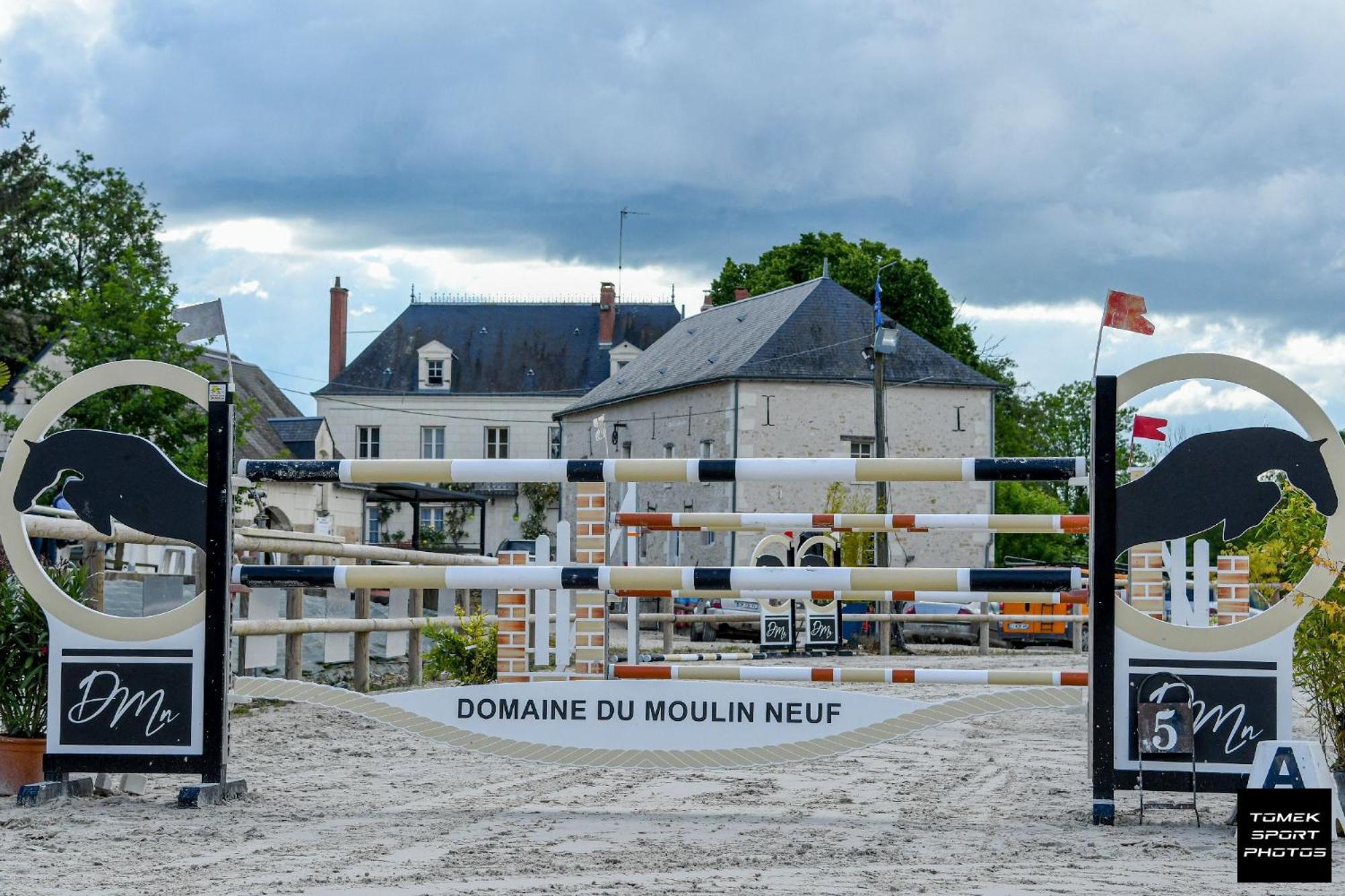 Domaine Du Moulin Neuf Aux Portes De Beauval Nouans-les-Fontaines Luaran gambar